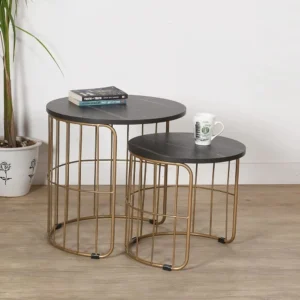 Nature Golden Coffee Table