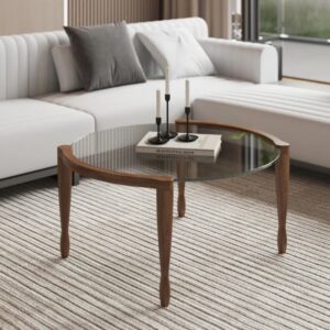 Handcrafted Natural Mango Wood With Mirror Design Coffee Table